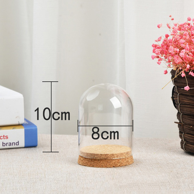 Terrarium Glass Bottle - Couvercle de dôme en verre pour