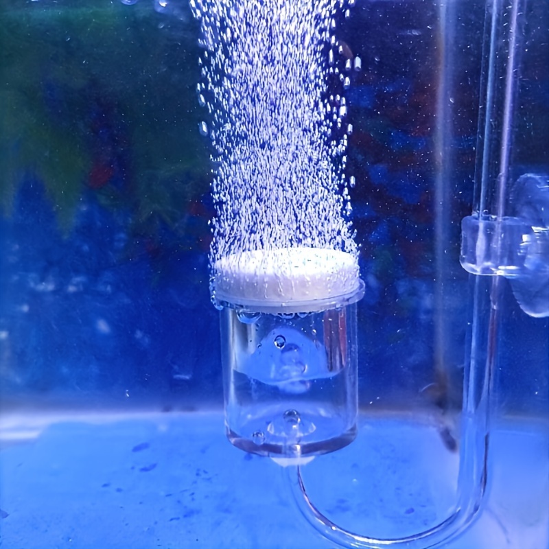 Terrarium Glass Bottle - Diffuseur d'atomiseur de CO2 en verre