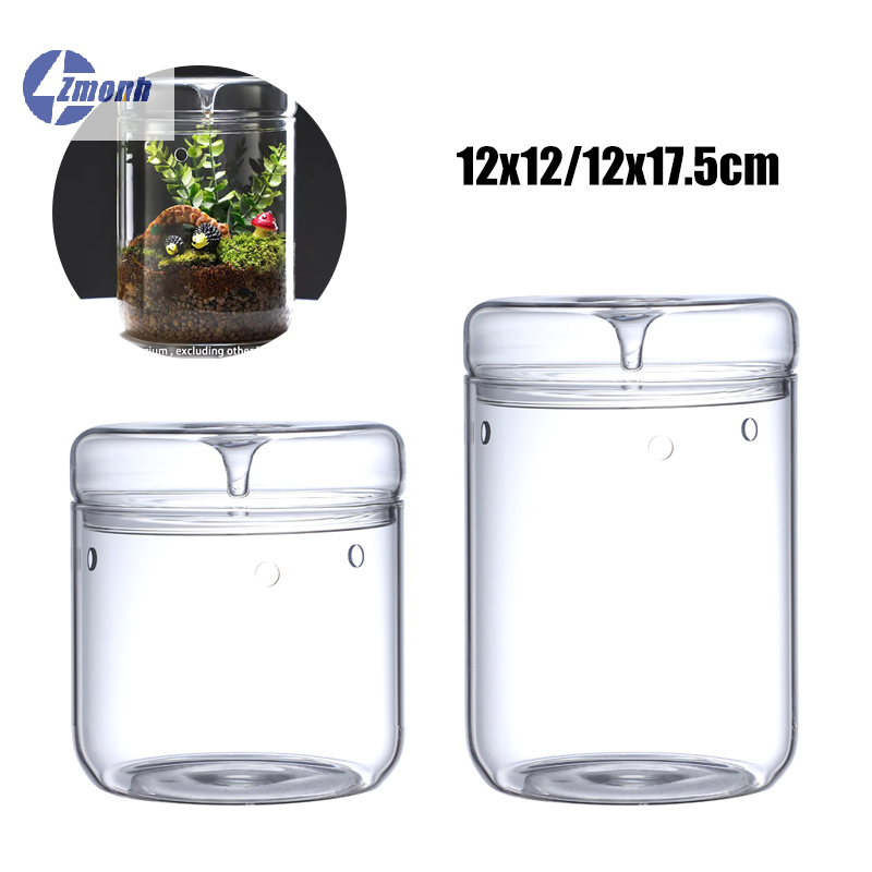 Terrarium Glass Bottle - Nouveau ! Bouteille en verre micro-paysage