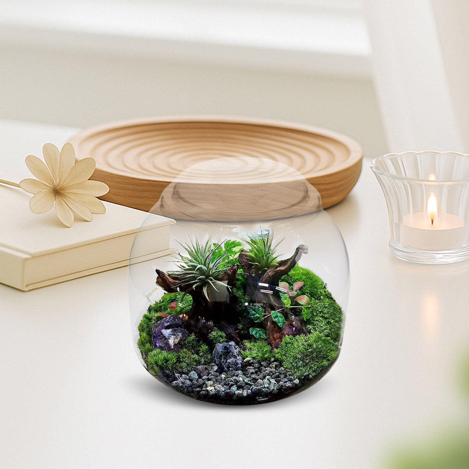Terrarium en verre avec couver - Terrarium Glass Bottle avis et prix