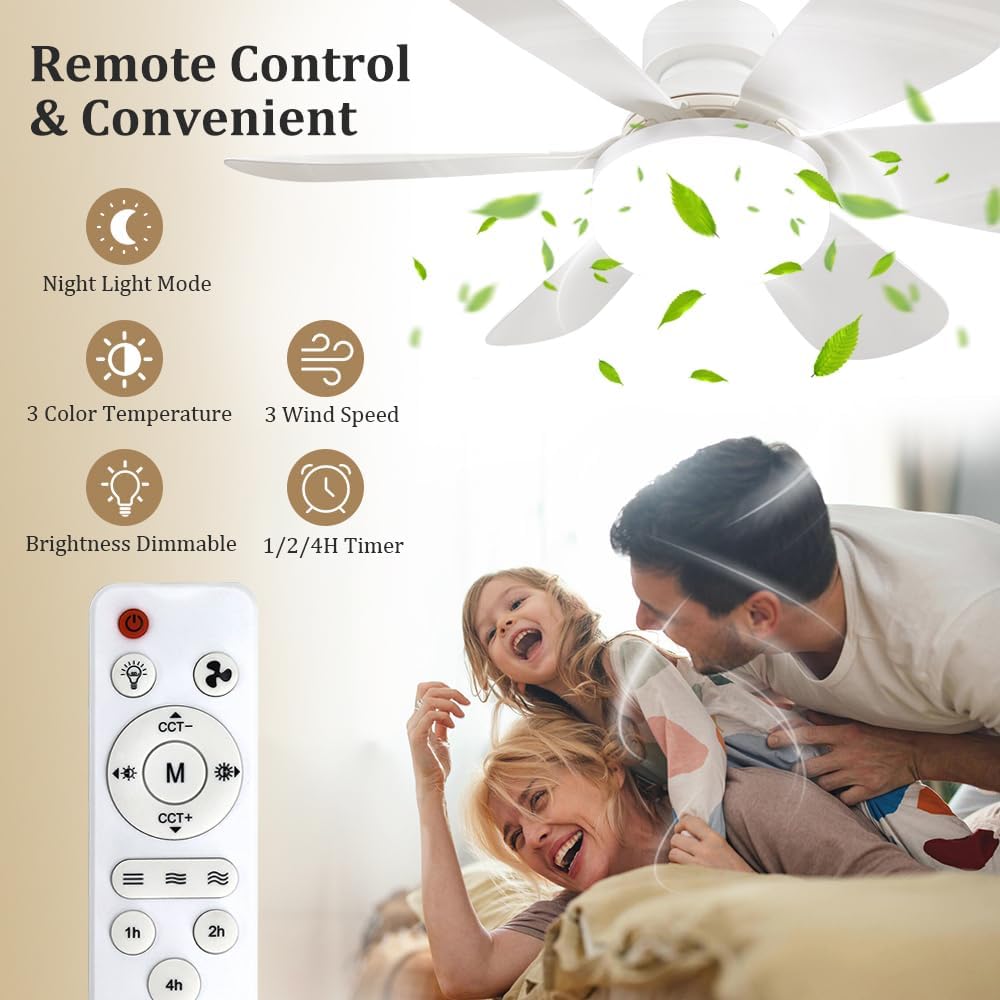 Ventilateur de plafond avec té - Home Decor Light avis et prix
