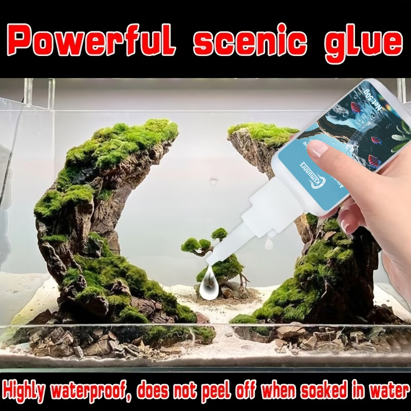Colle pour aménagement d'aquar - Terrarium Glass Bottle avis et prix