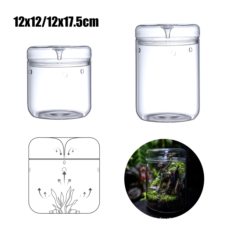 Nouveau ! Bouteille en verre m - Terrarium Glass Bottle avis et prix