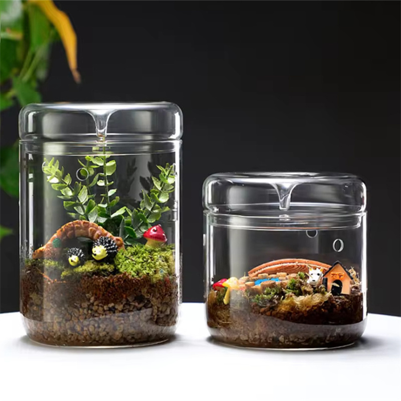 Nouveau ! Bouteille en verre m - Terrarium Glass Bottle avis et prix