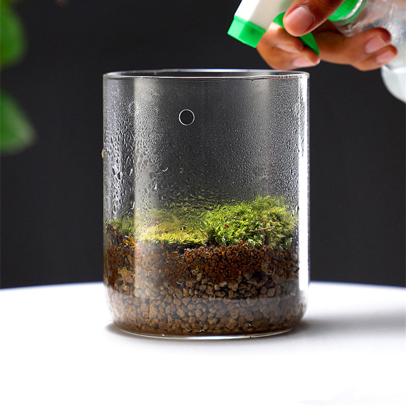 Nouveau ! Bouteille en verre m - Terrarium Glass Bottle avis et prix