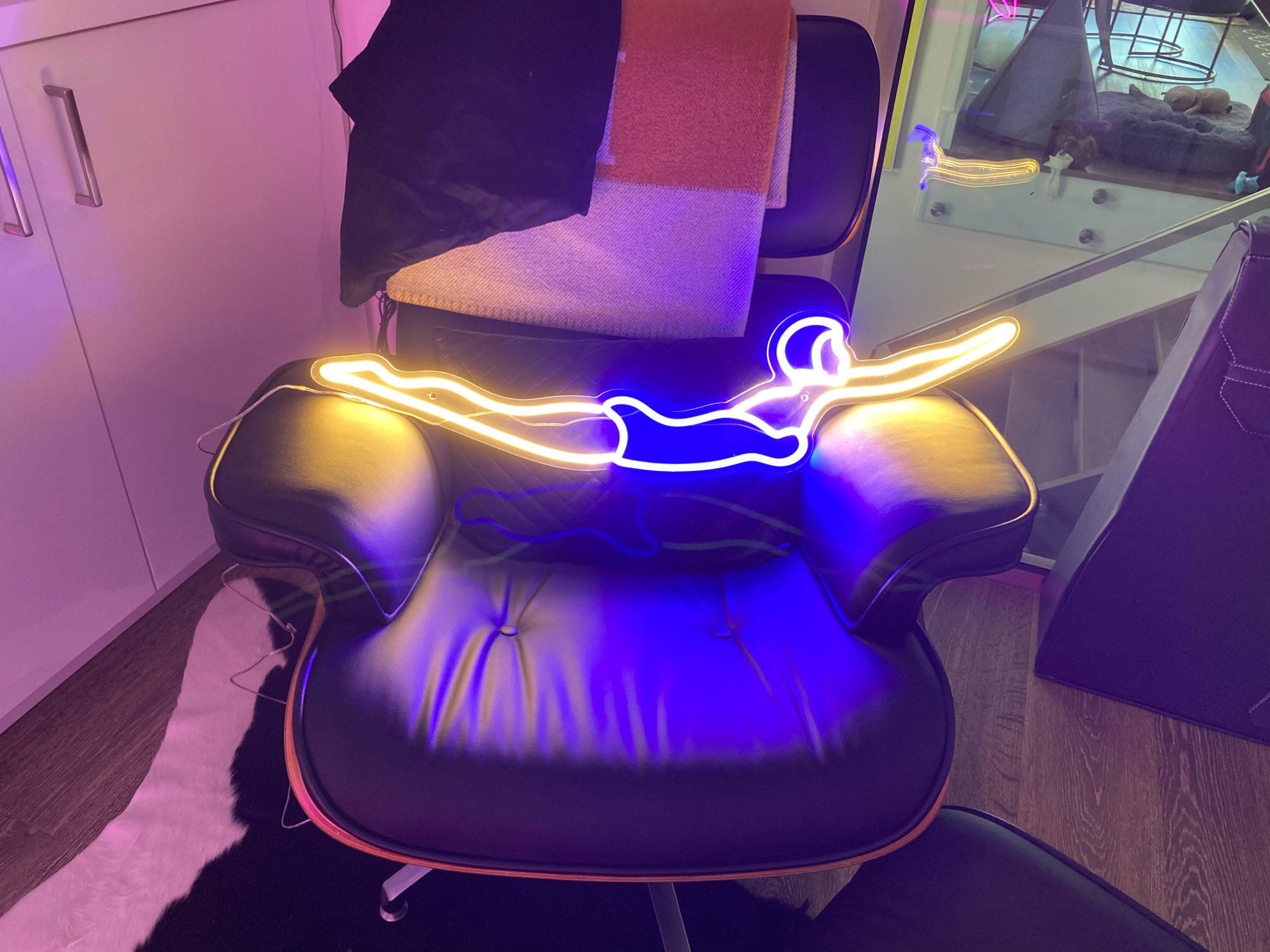 Enseigne au néon LED personnal - Home Decor Logo Design avis et prix