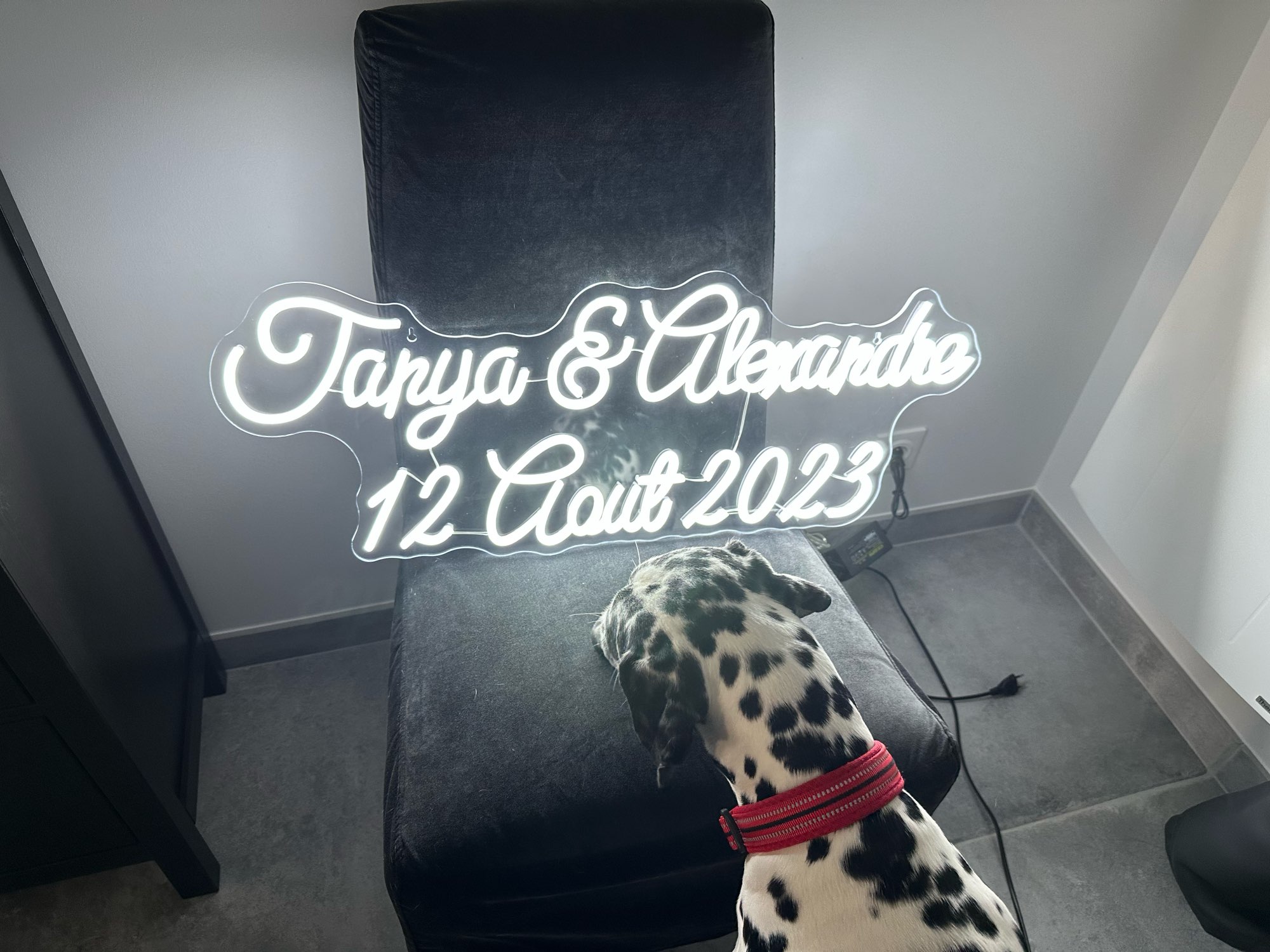 Enseigne au néon LED personnal - Home Decor Logo Design avis et prix