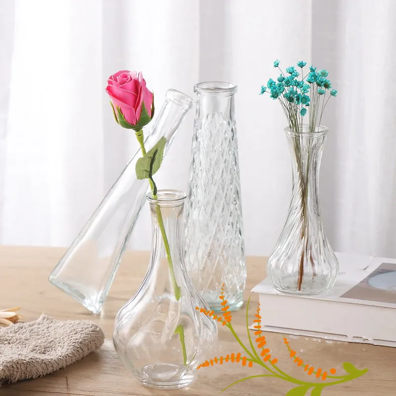 Vase à fil Simple, dispositif  - Terrarium Glass Bottle avis et prix